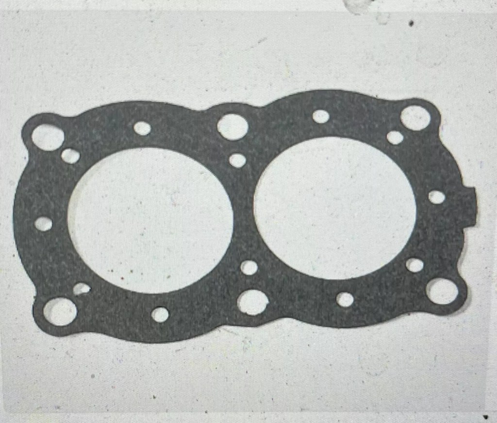 Head Gasket Compatible with Evinrude Johnson OMC 203130 18-3841-2 3hp 4hp 4.5hp
