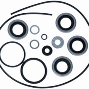 Sierra 18-2685 Marine Lower Unit Seal Kit for Johnson/Evinrude Outboard Motor