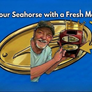 Johnson 1957 - 1958 Seahorse Medallion 0304866 0305718 "5.5 to 35 HPs"