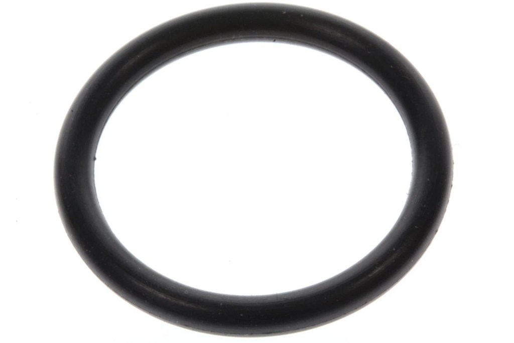 Evinrude O RING 0301967 OEM NEW